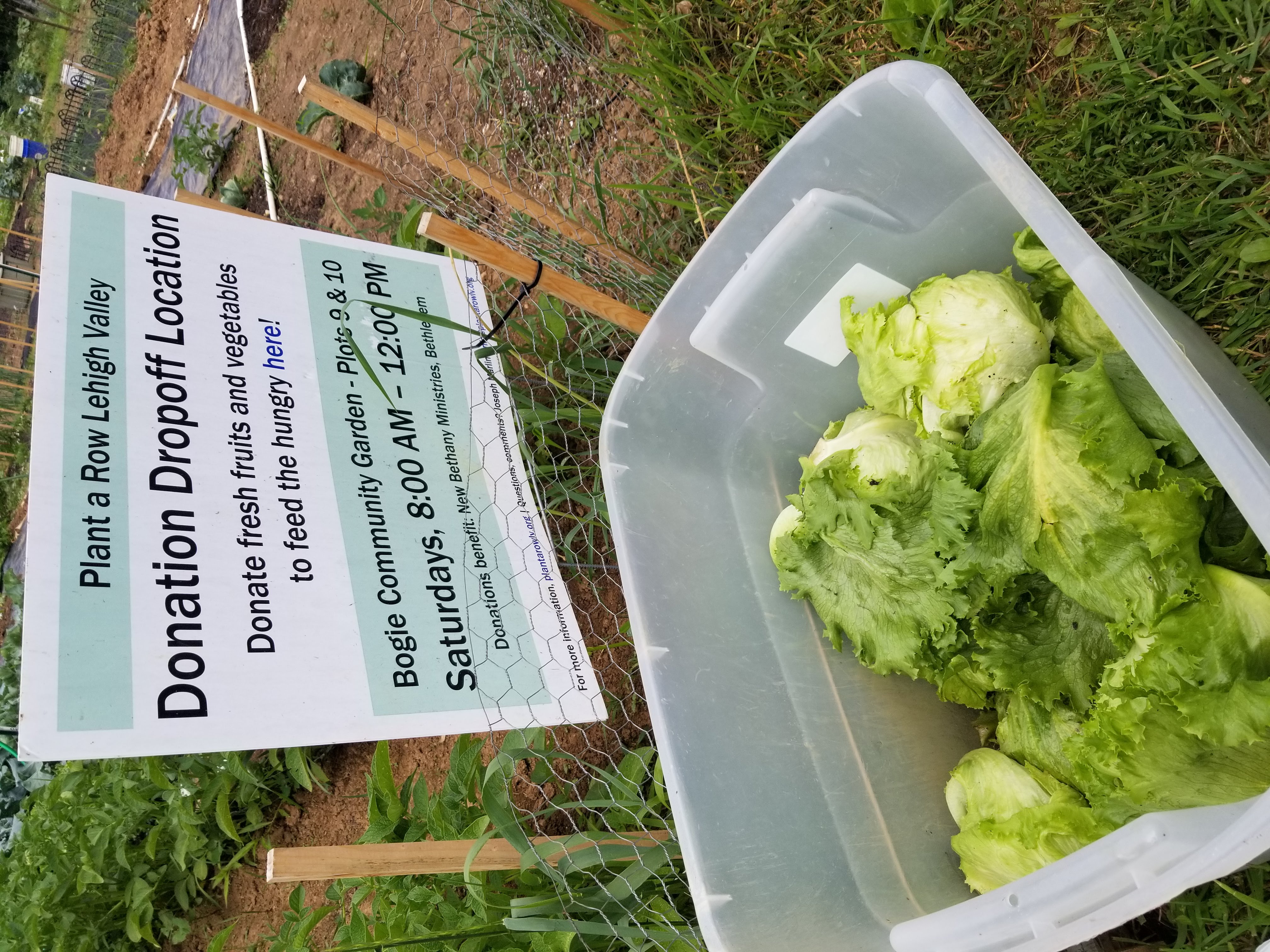 An example vegetable donation dropoff box for Plant a Row